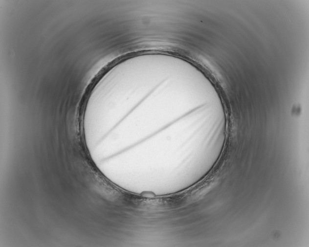 X0000091060883200709041156