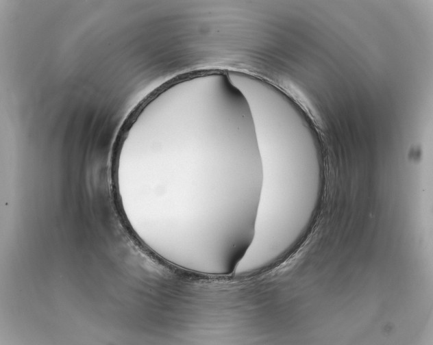 X0000091060884200709041156