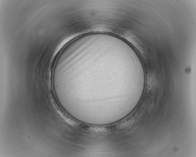 X0000091060886200709041156