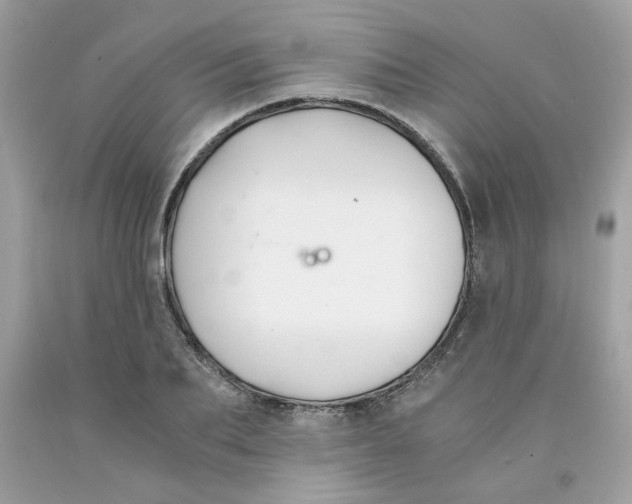 X0000091060887200709041156