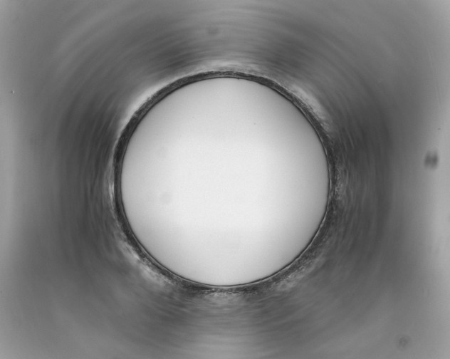 X0000091060888200709041156