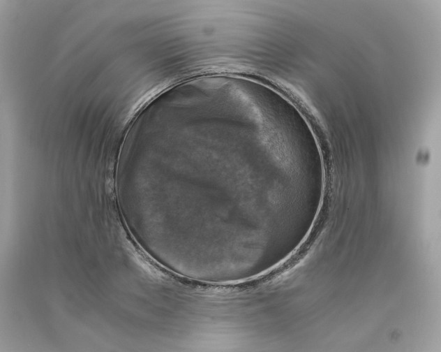 X0000091060889200709041156