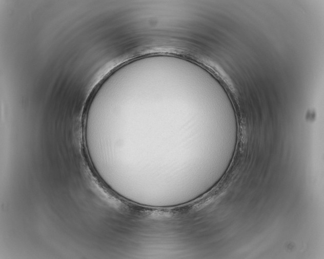 X0000091060890200709041156