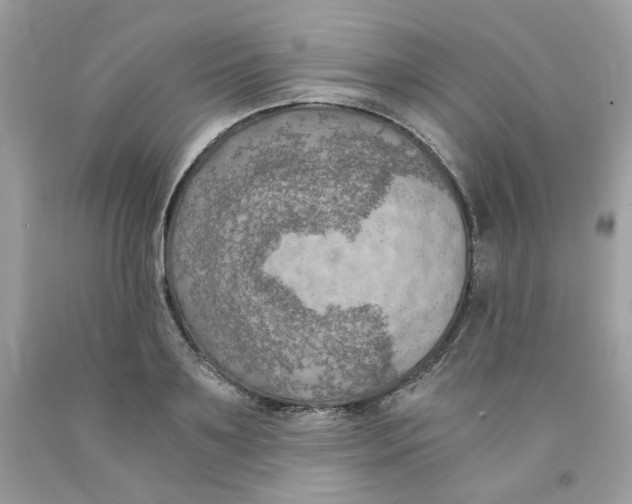 X0000091060891200709041156