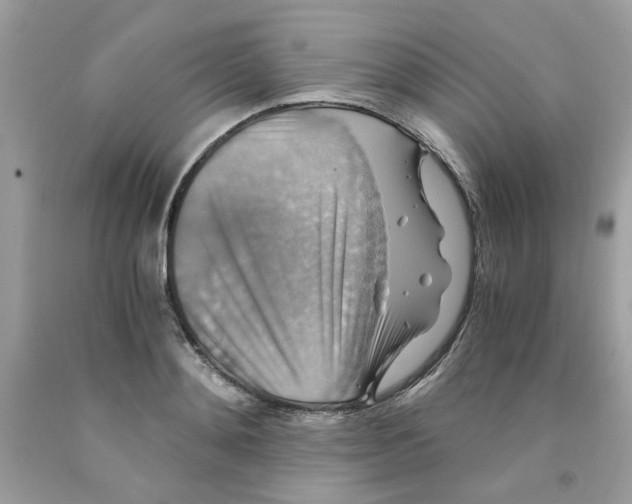 X0000091060892200709041156