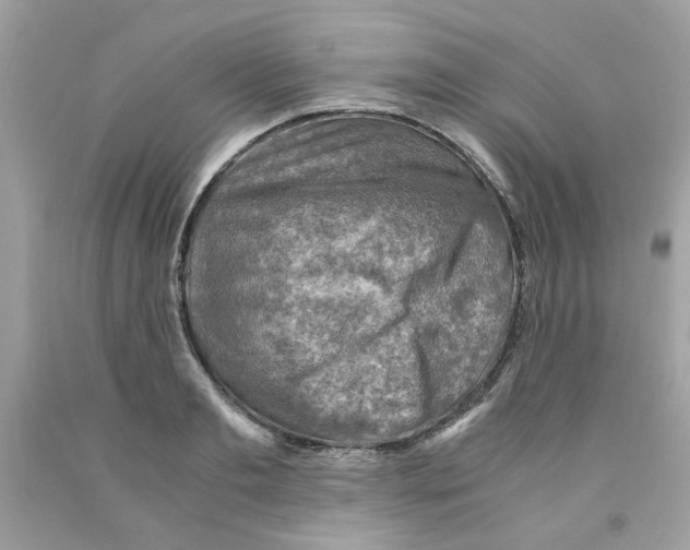 X0000091060893200709041156