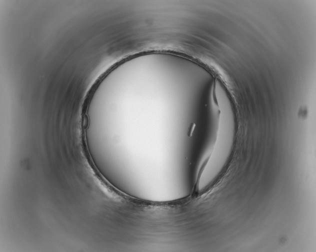 X0000091060894200709041156