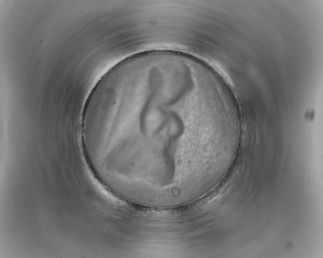 X0000091060895200709041156