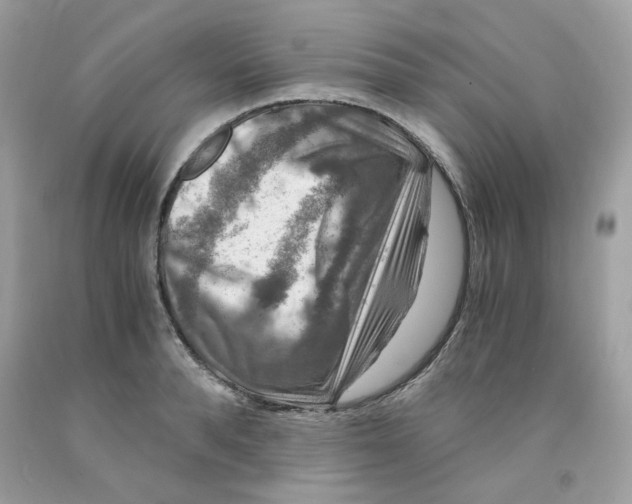 X0000091060896200709041156