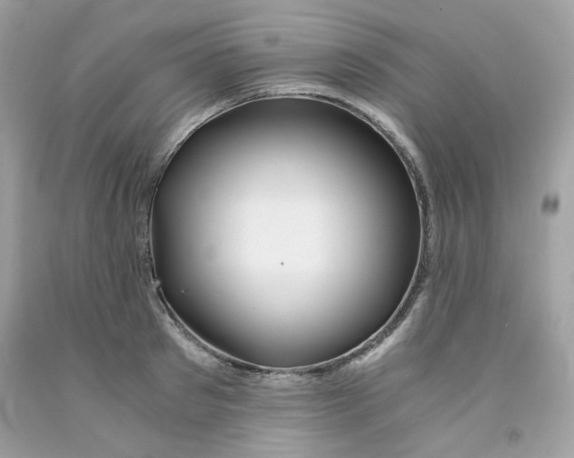 X0000091060897200709041156