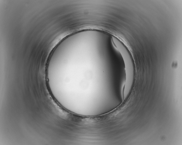 X0000091060898200709041156