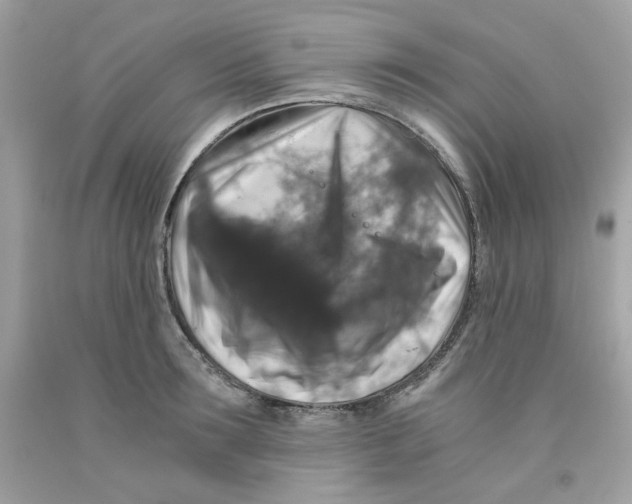 X0000091060899200709041156