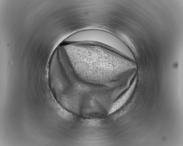 X0000091060900200709041156