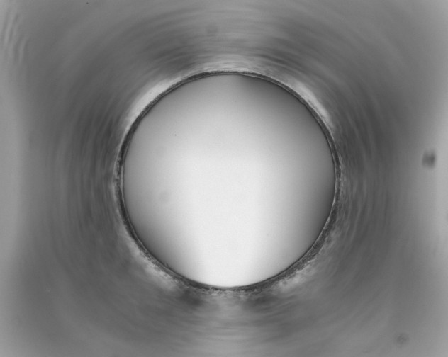 X0000091060901200709041156