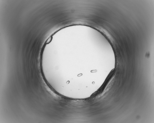 X0000091060902200709041156