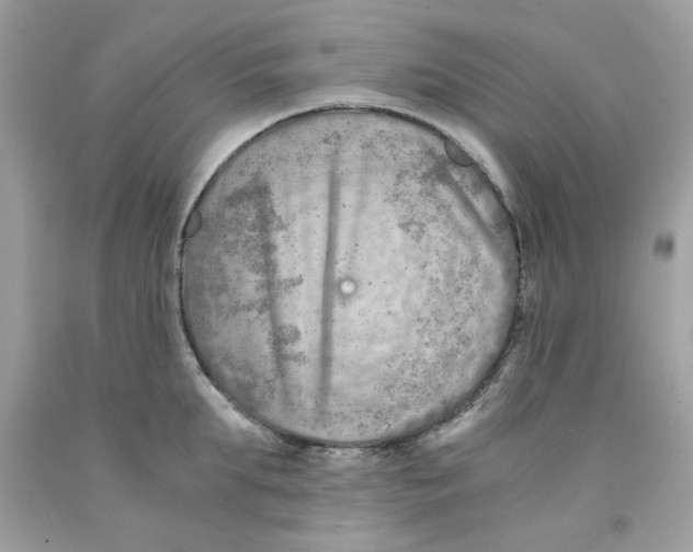 X0000091060903200709041156