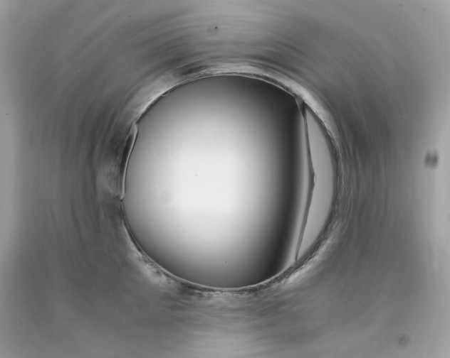 X0000091060905200709041156