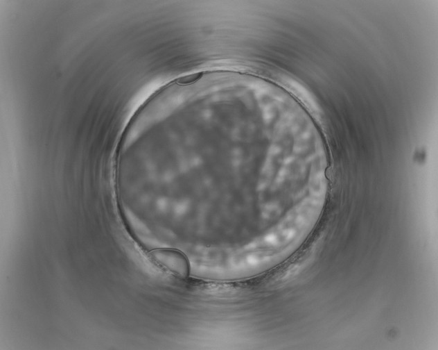 X0000091060907200709041156