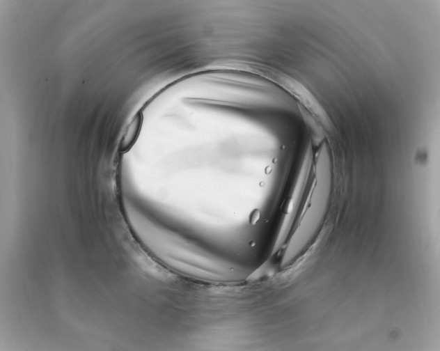 X0000091060908200709041156