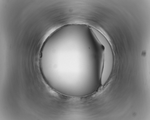 X0000091060909200709041156