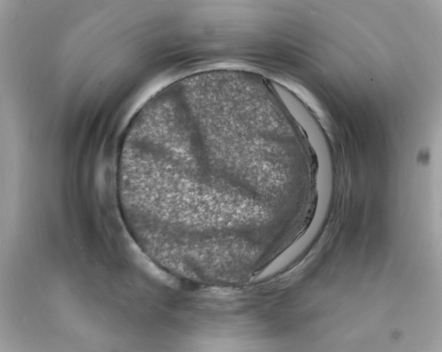 X0000091060910200709041156