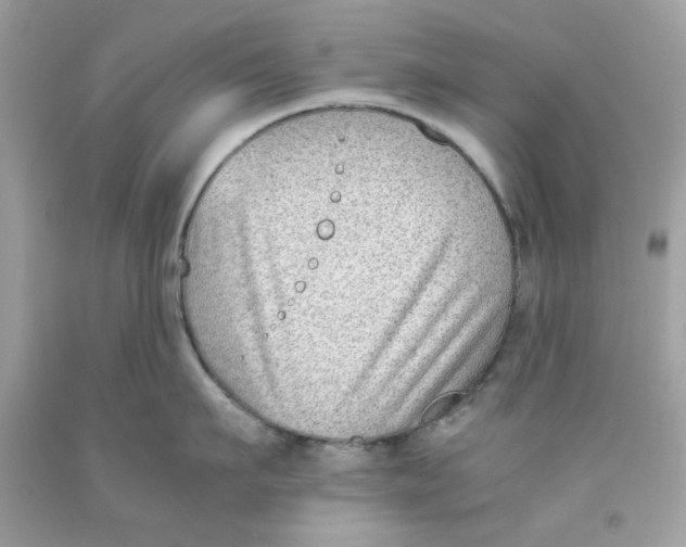 X0000091060911200709041156