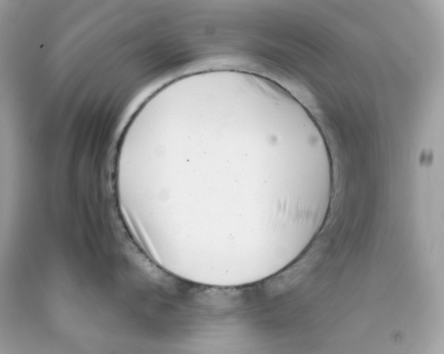 X0000091060912200709041156