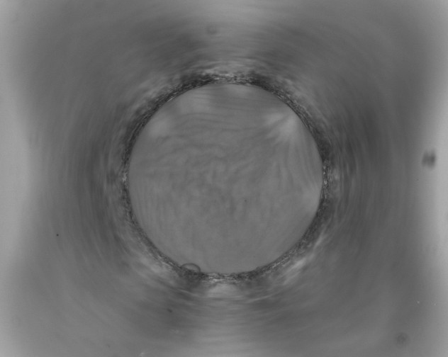 X0000091060913200709041155