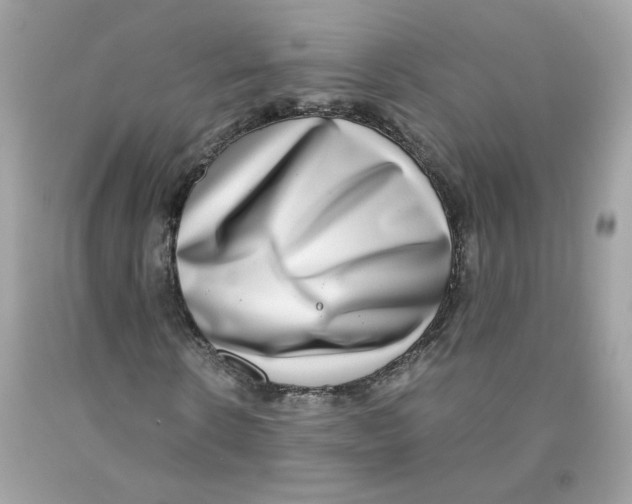 X0000091060914200709041155