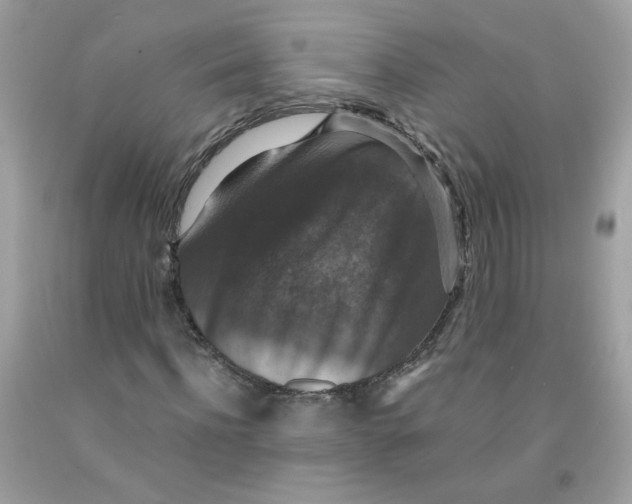 X0000091060916200709041155