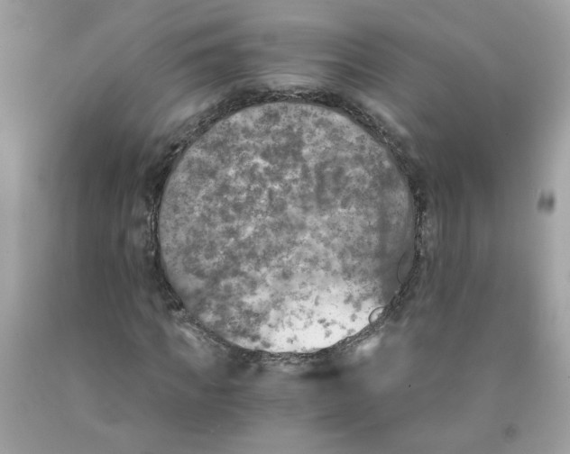 X0000091060917200709041155