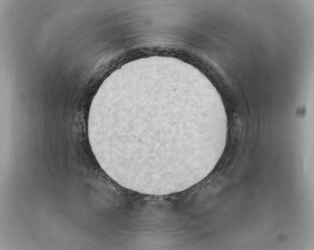 X0000091060918200709041155