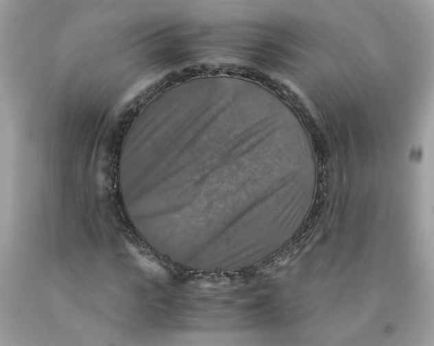 X0000091060919200709041155