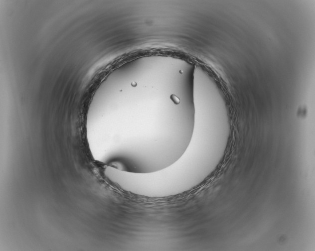 X0000091060920200709041155