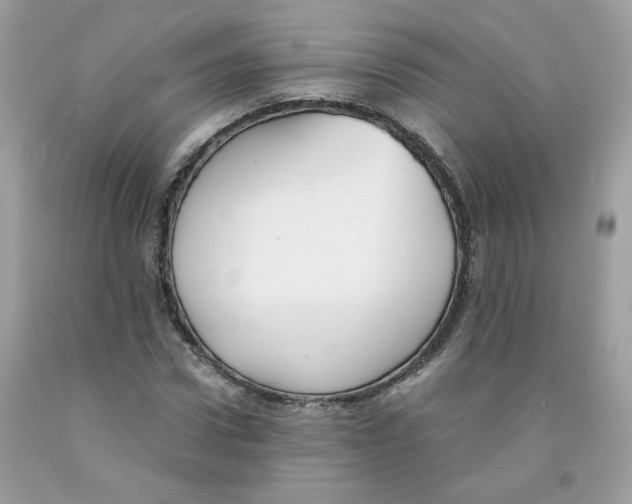 X0000091060922200709041155