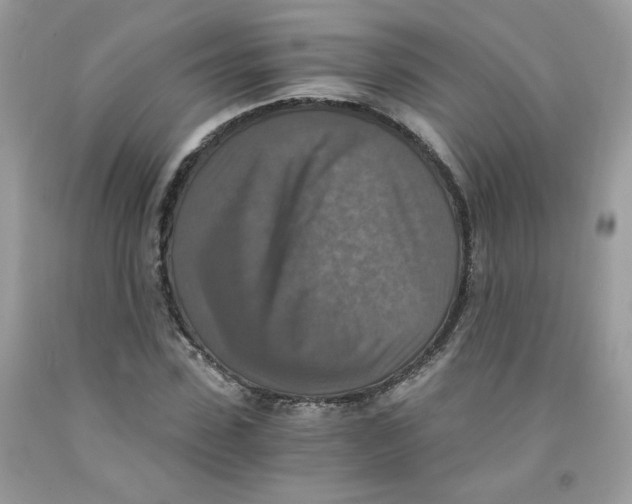 X0000091060923200709041155