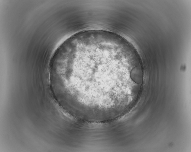 X0000091060925200709041155