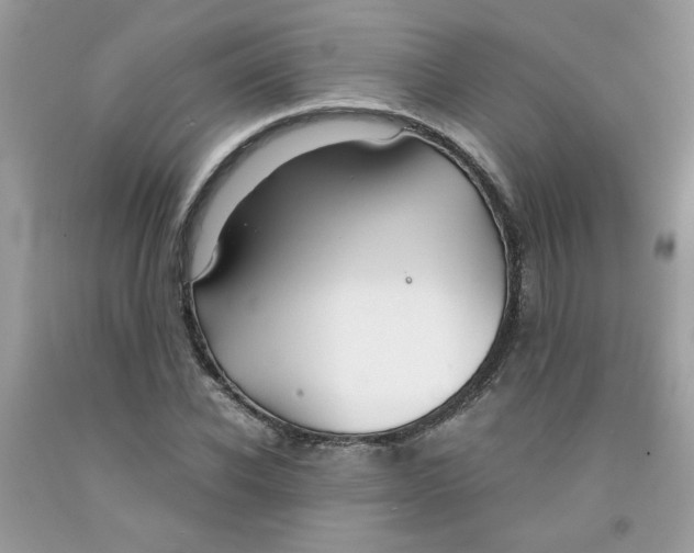 X0000091060926200709041155