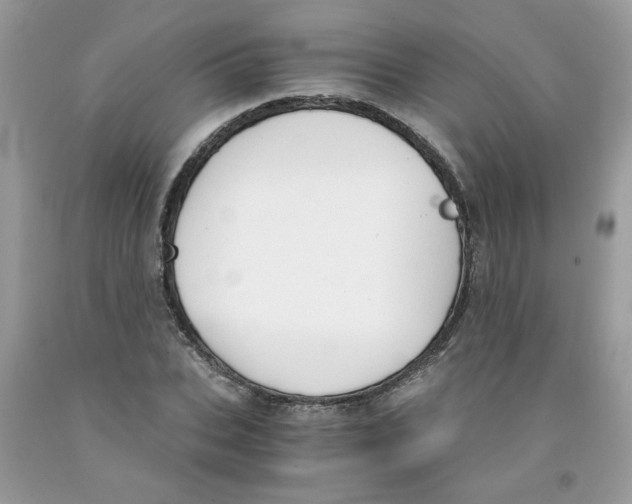 X0000091060927200709041155