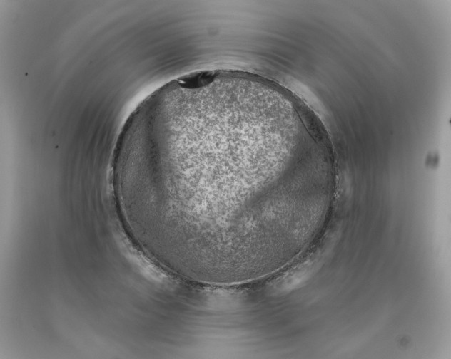 X0000091060928200709041155