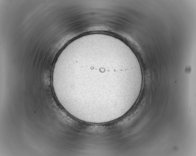 X0000091060929200709041155