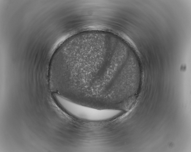 X0000091060930200709041155