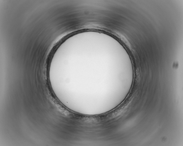 X0000091060931200709041155