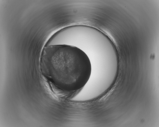 X0000091060932200709041155