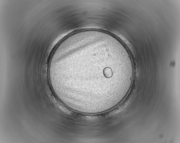 X0000091060933200709041156