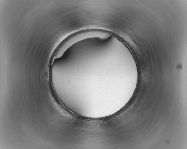 X0000091060934200709041156