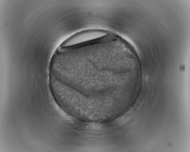 X0000091060935200709041156