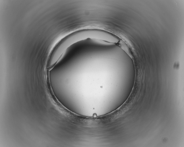 X0000091060936200709041156