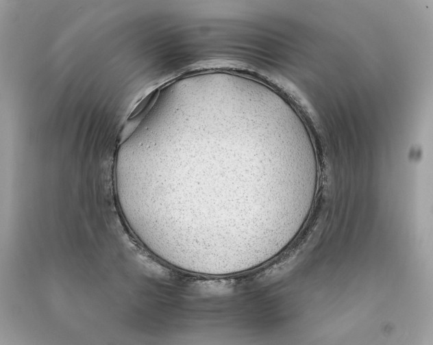 X0000091060937200709041156