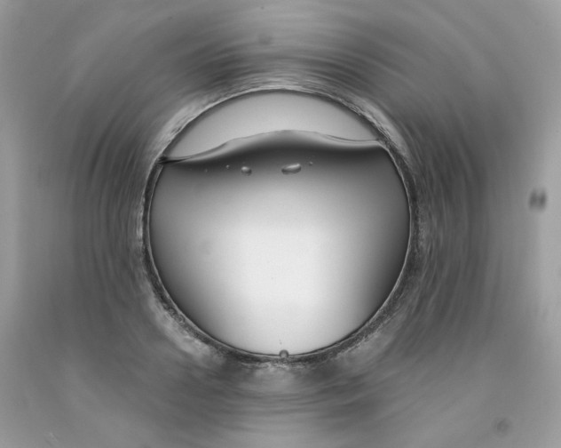 X0000091060938200709041156